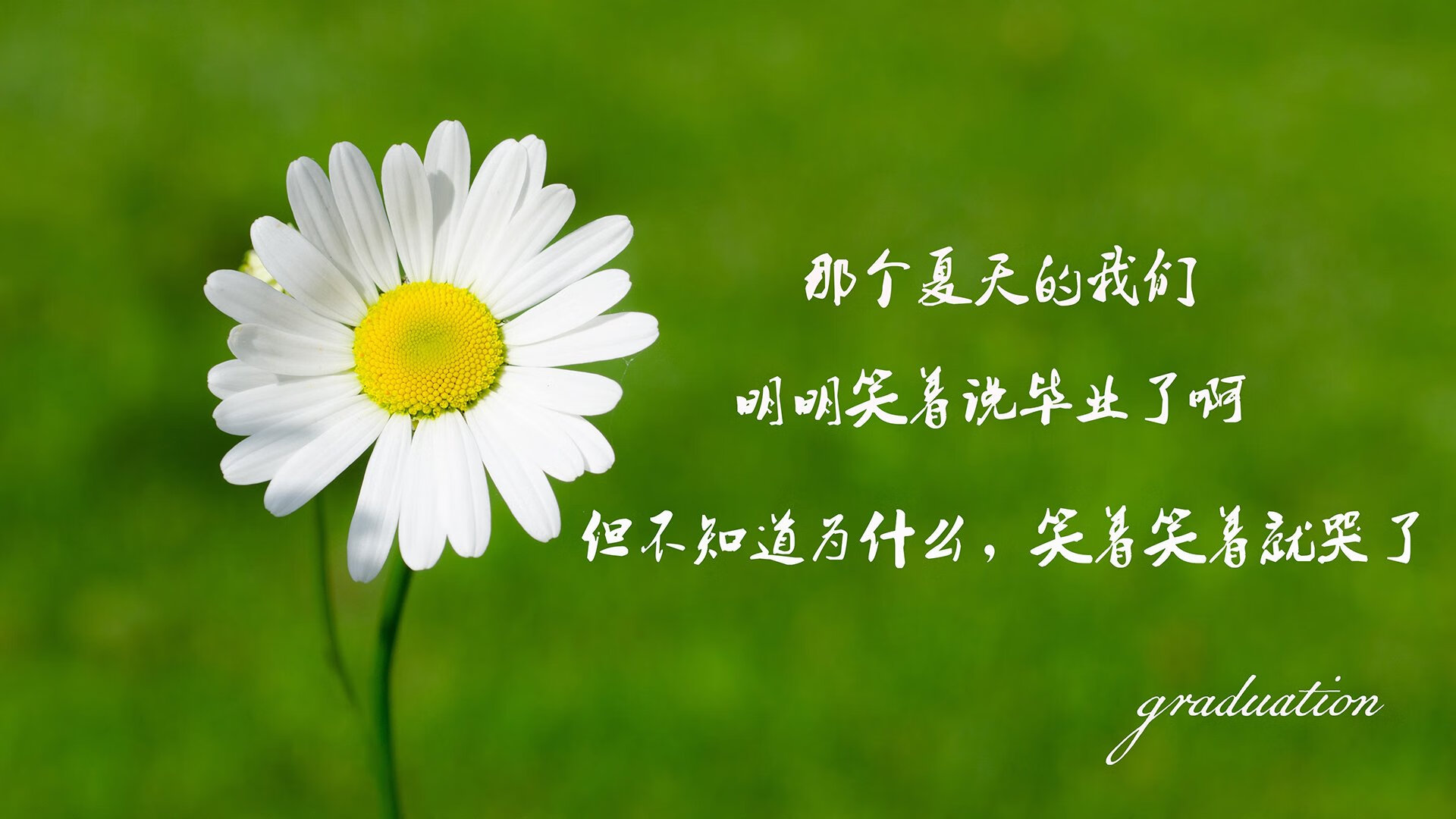 摩洛哥马术协会设立“Sinjska Alka”奖学金，支持传统马术研究。