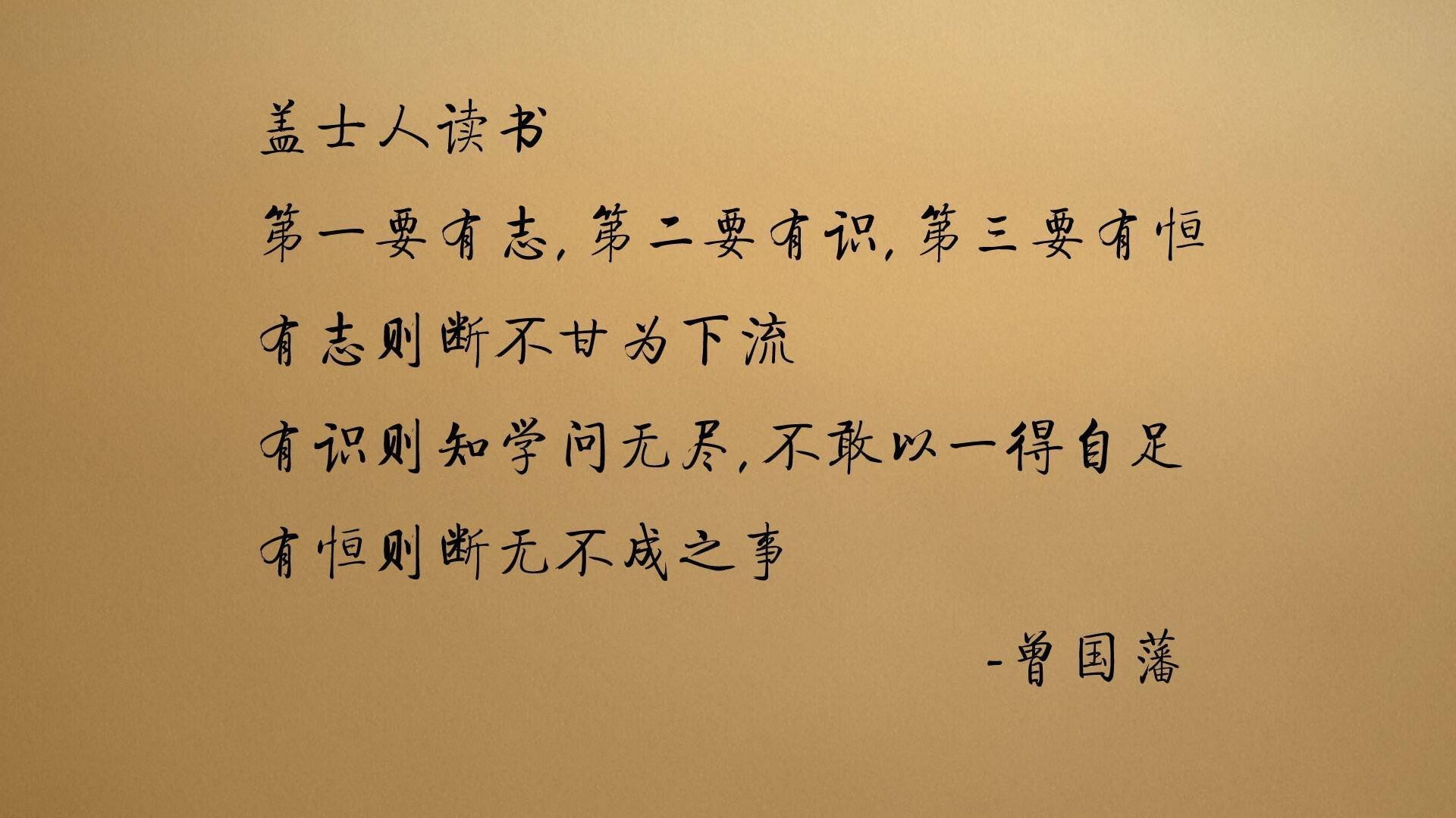 霍芬海姆球队在比赛中展现出色的进攻体系，取得胜利，霍芬海姆球衣是哪个运动品牌