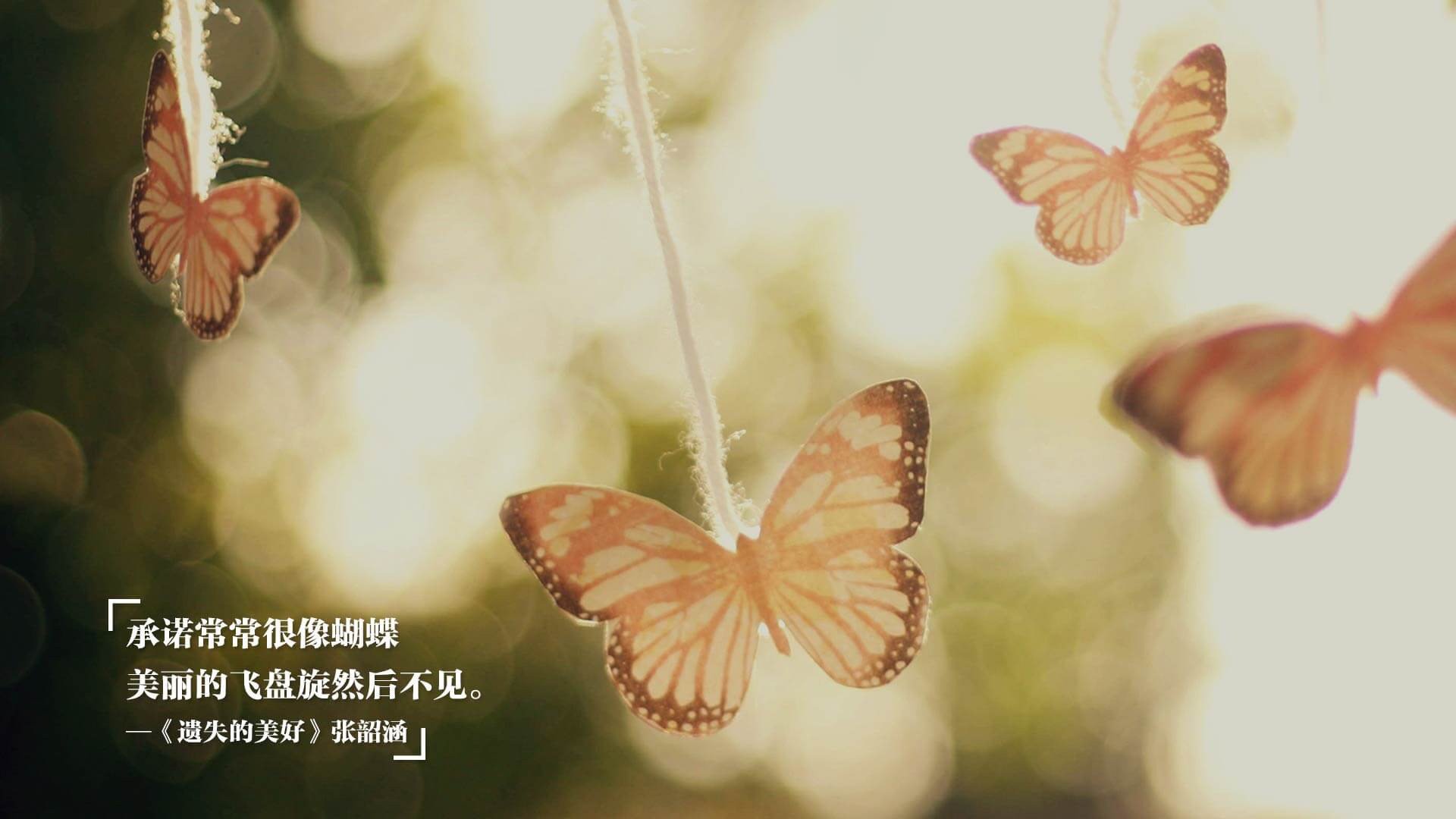 NBA联盟官方App用户体验优化路径研究,nba联盟最新消息