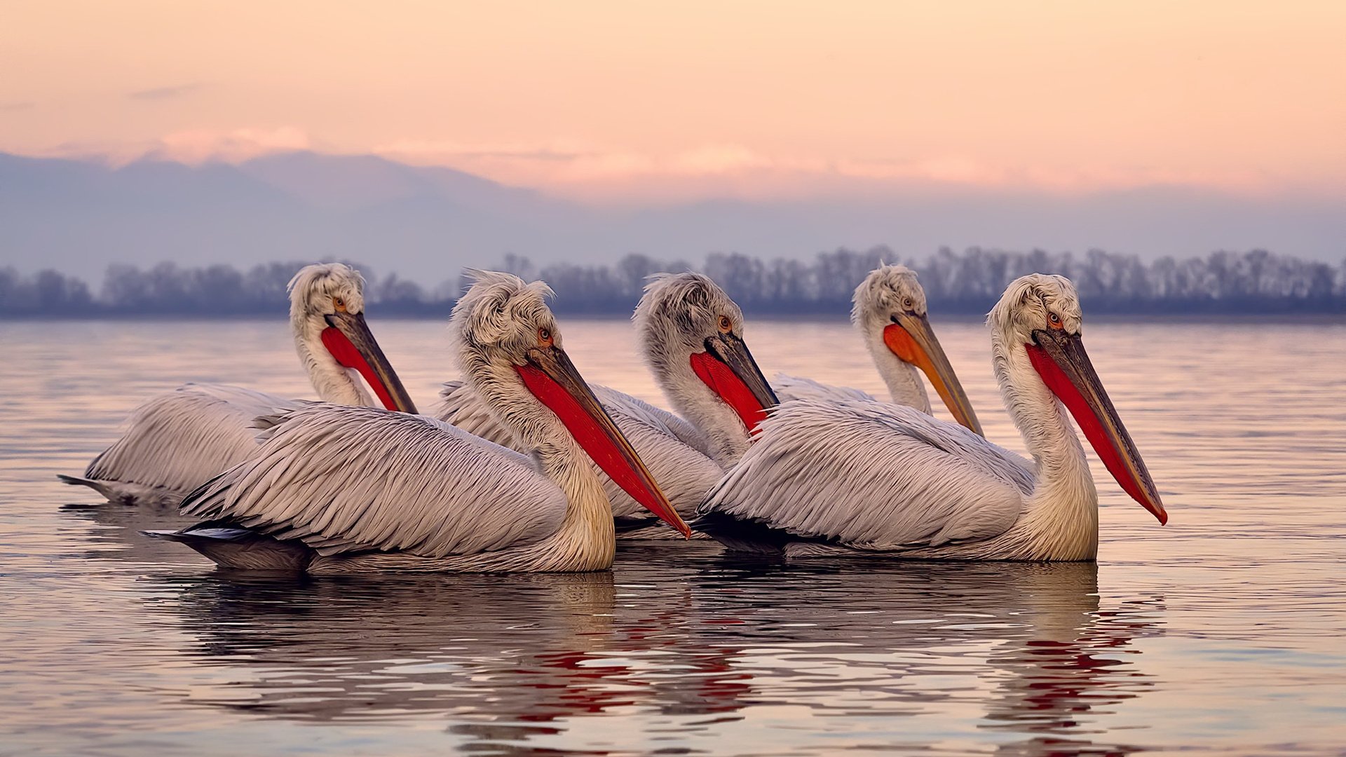 外援上场时间是否应进行总量限制,外援什么时候上场的
