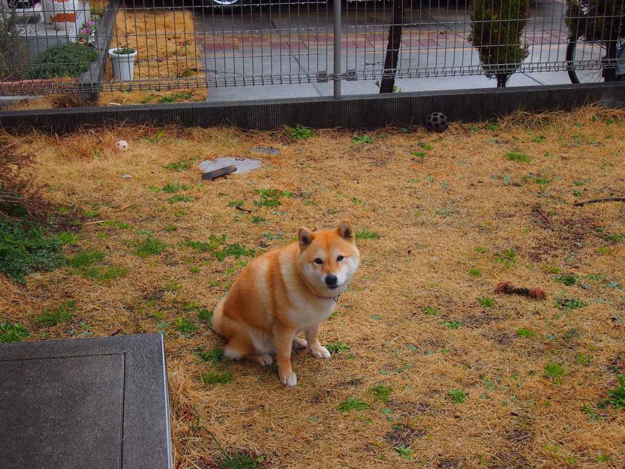 开云·体育官方网站入口-高位逼抢打乱对手中后场组织，高位战术