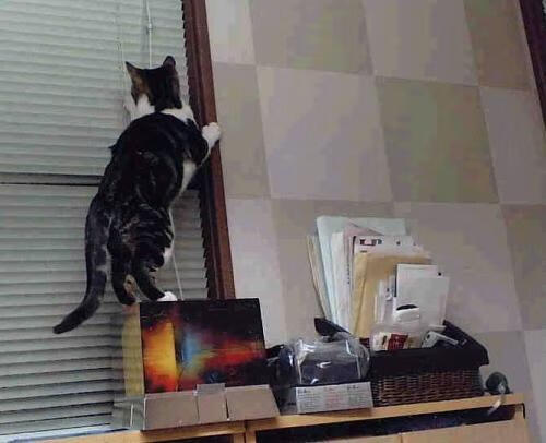 中国足球联赛扩展多语言多平台赛事直播覆盖，足球赛事 中国