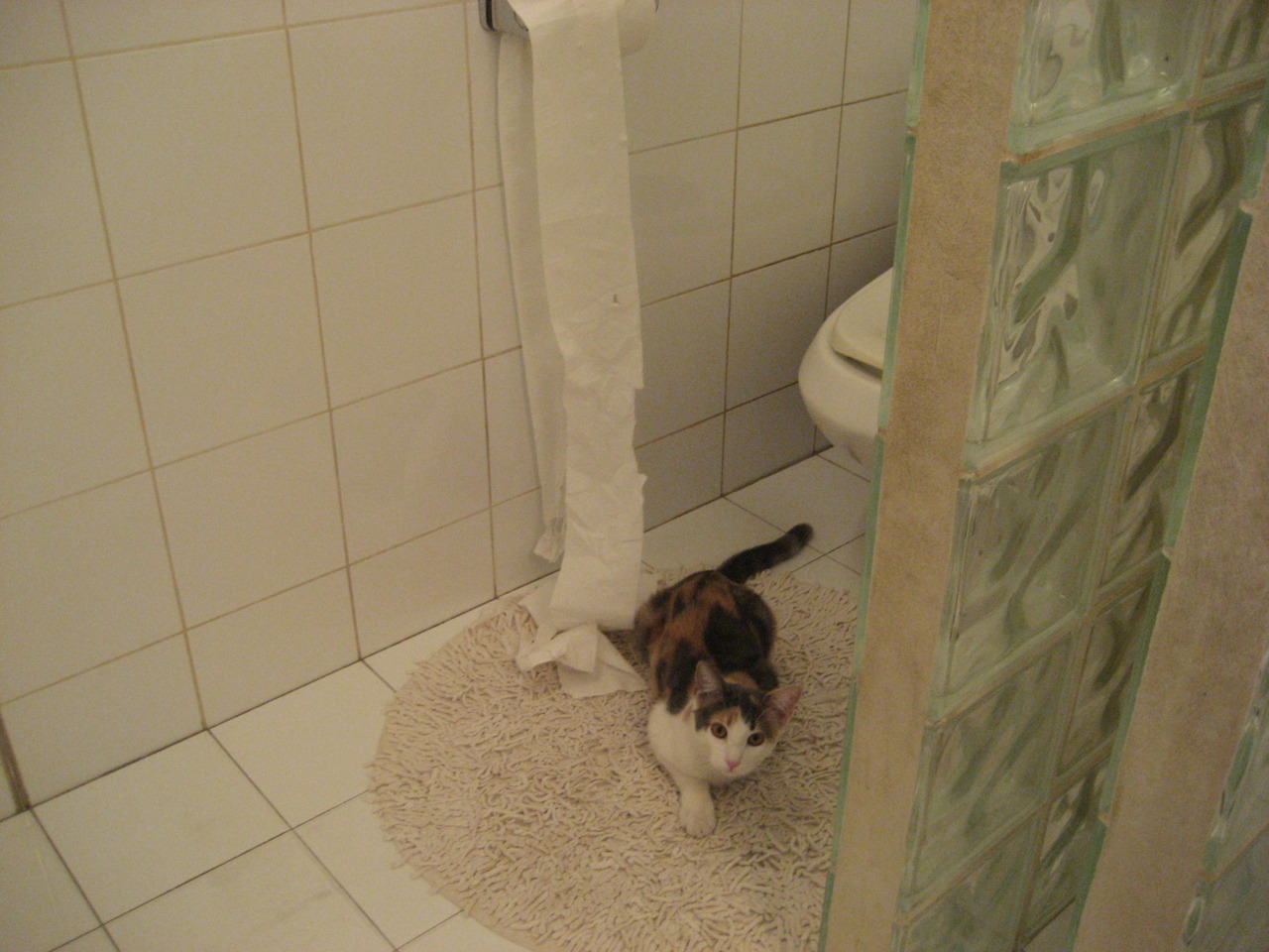 德甲策略多变:攻守转换,变化精彩!,德甲战术