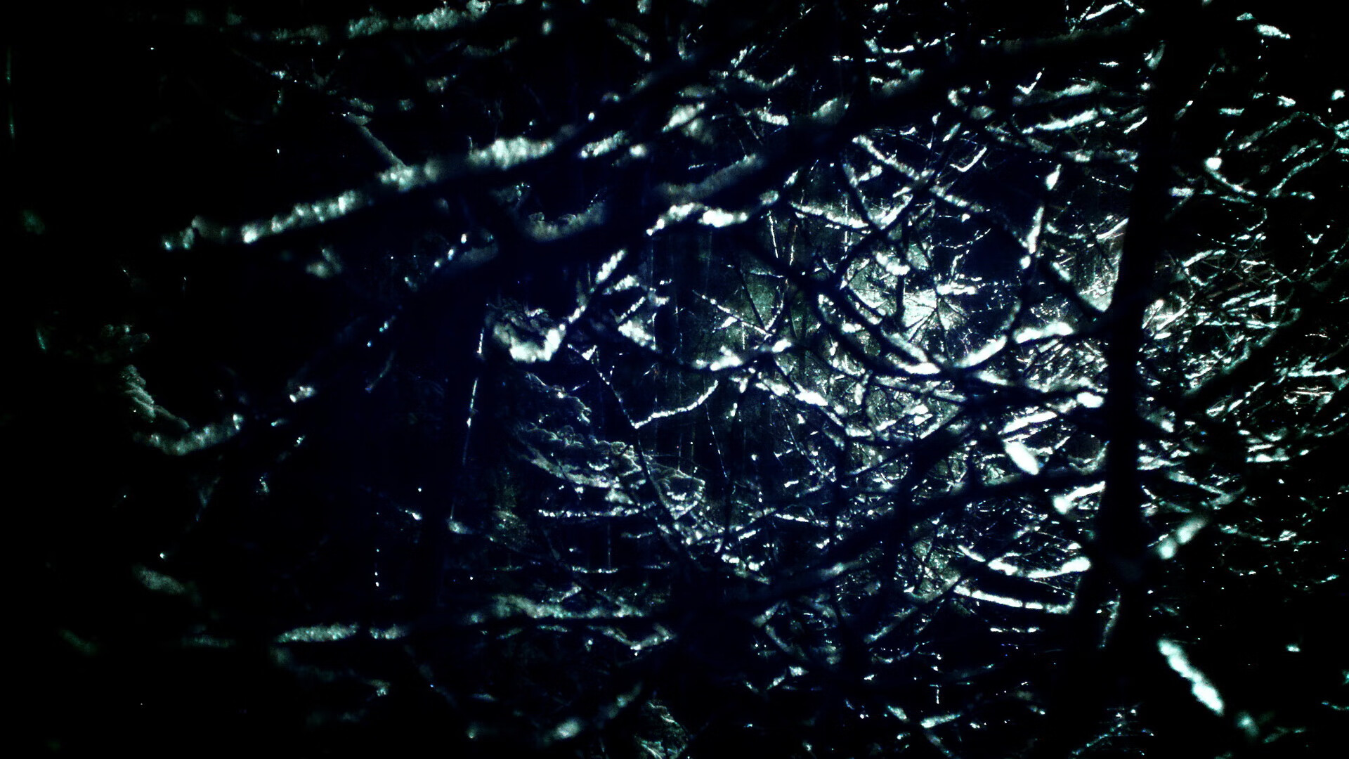 德甲速度狂飙：节奏快，精彩无限！，德甲速度排名