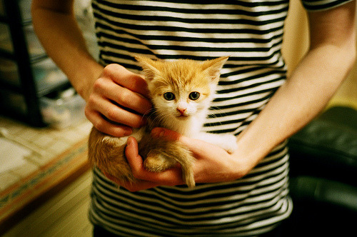 开云体育APP下载-曼联主帅要求球队保持防守纪律，曼联队的么