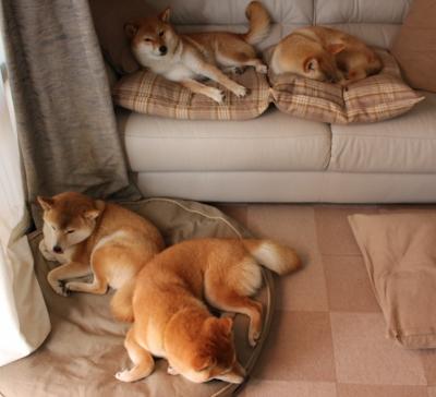 开云官方网页登录-法甲未来之星：崭露头角，引领足球潮流！，足球未来之星阵容