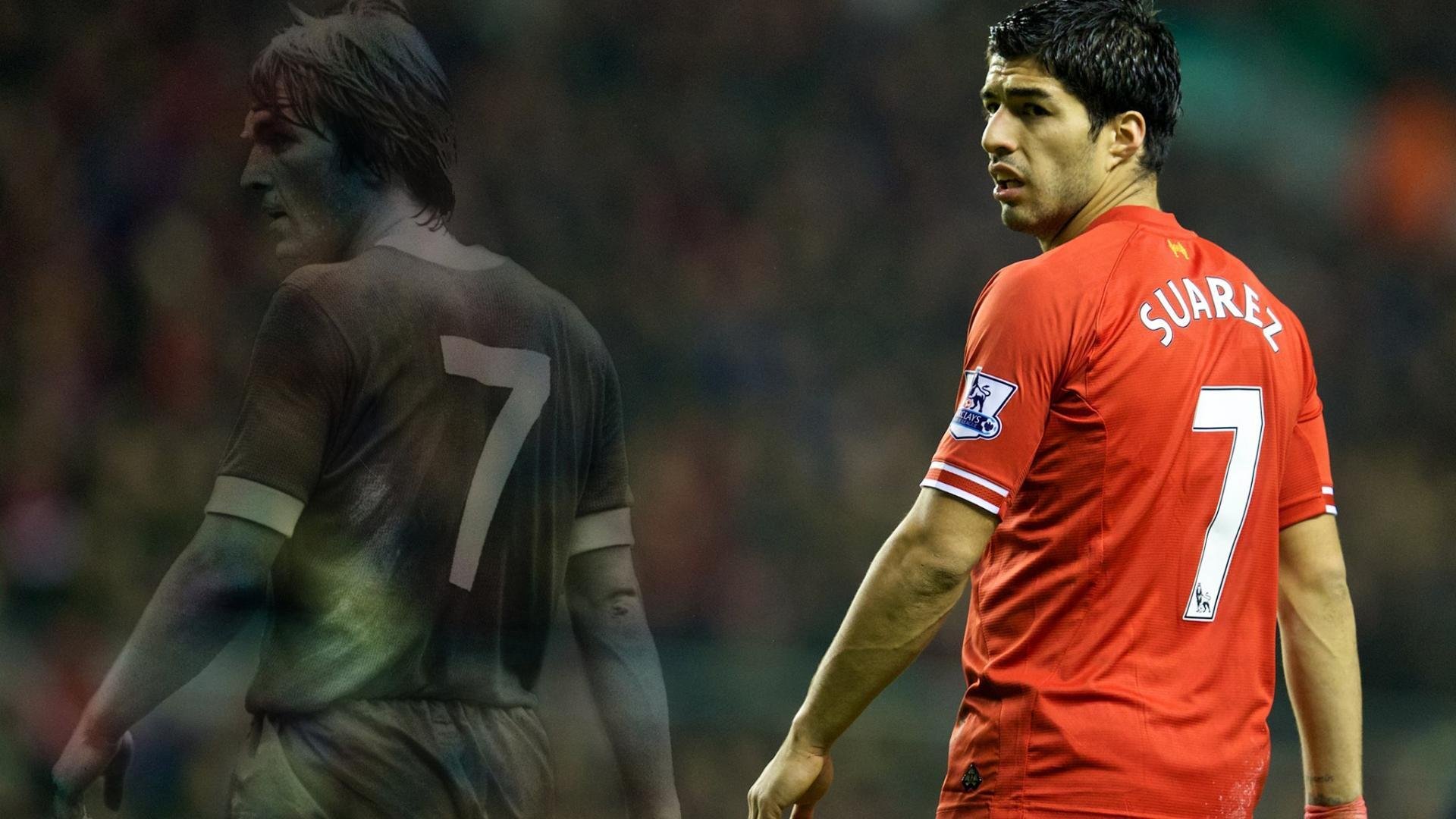 _大自然跑步：森林、河谷、山脉的奔跑体验_，森林 跑步